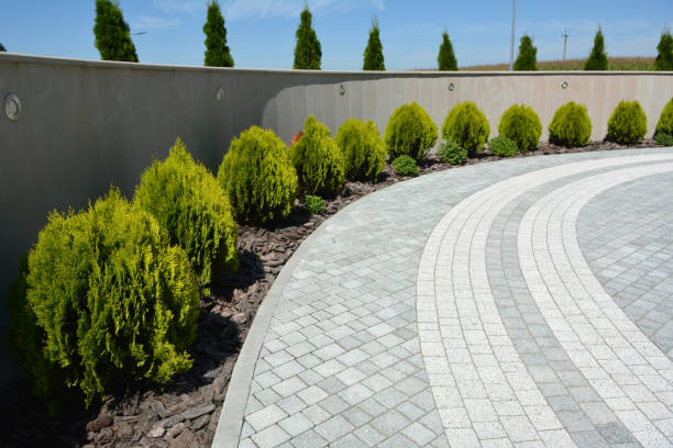 Best Driveway Pavers Near Me  in Long Beach, IN